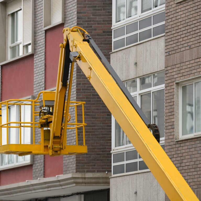 Sepetli Vinc scaled